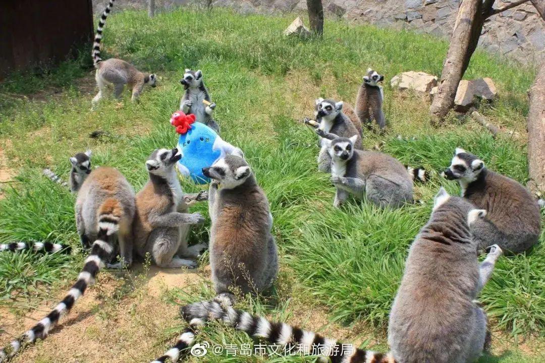 五月遛娃出游指南，真的很实用你可别不信