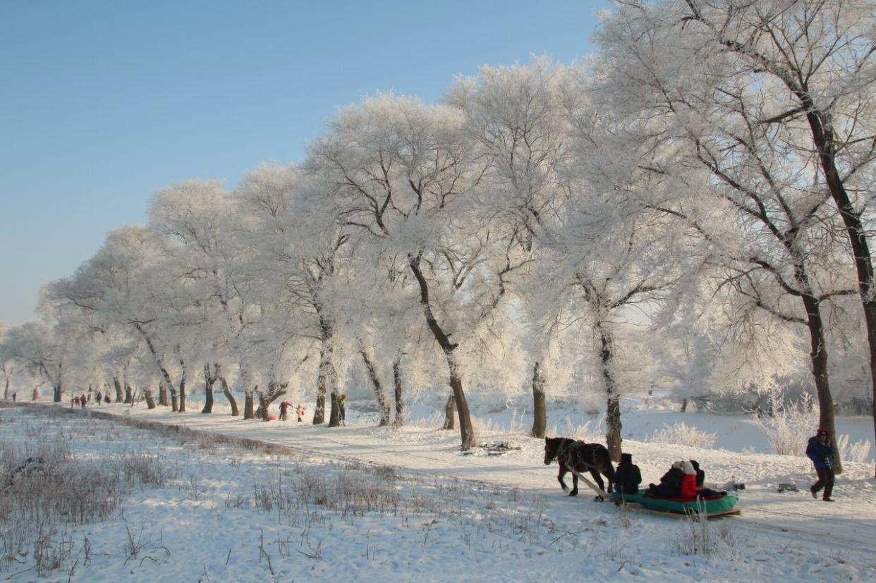 出来玩雪啦！抚远日初，吉林雾凇，这些地方够你玩上一整个冬天！