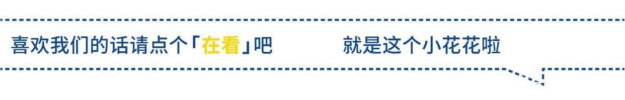 2019最佳成人动画推荐《史前战纪》带你一起去看那最原始的动画