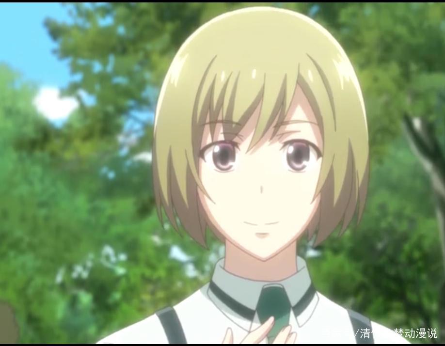 对《京都寺町三条商店街的福尔摩斯》这部动漫的一些看法