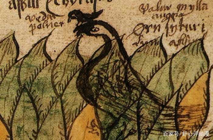 龙族：所有君主的名称均来源于北欧神话？尚未出场的龙王名称猜测