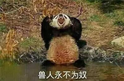 新番动漫究竟去哪里看才好？这部ntr牛头人番，又被剪辑了