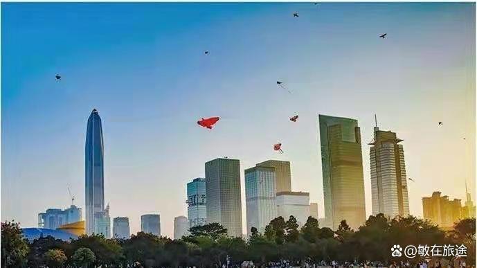 深圳亲子游必去的八个地方，介绍以下八个特色乐园，周末陪娃打卡