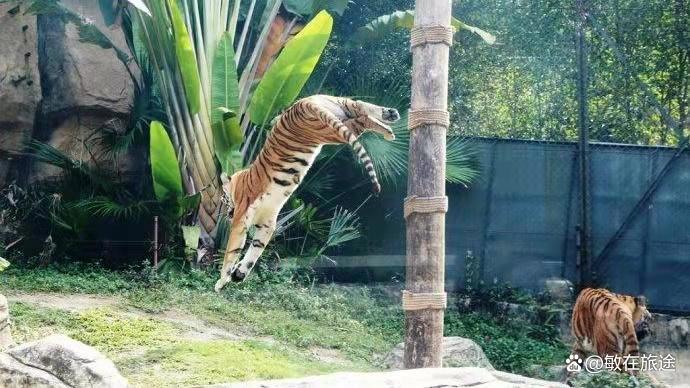 深圳亲子游必去的八个地方，介绍以下八个特色乐园，周末陪娃打卡