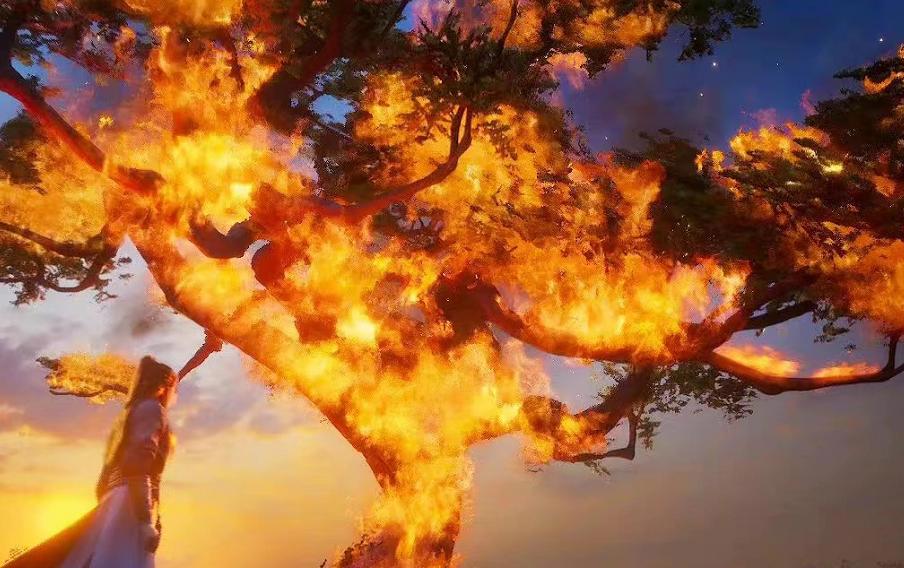 凡人修仙传播放破9亿，成某站第一，粉丝表示官方不用在乎原著党