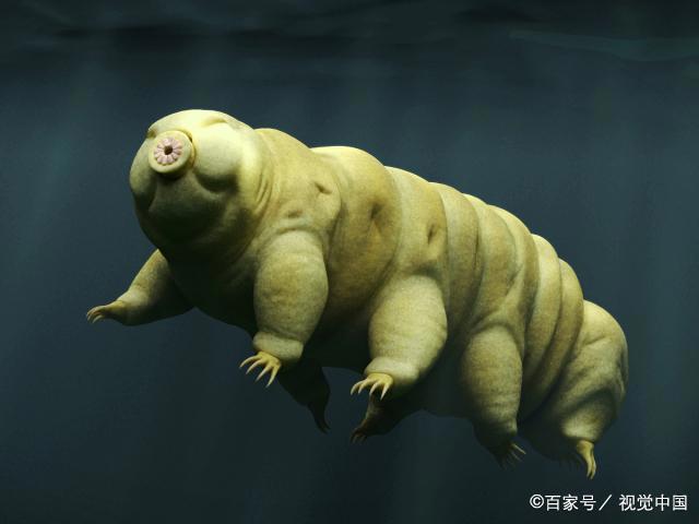 《尸兄》：看到这里，奇怪的知识又增加了“我居然看的是漫画？”