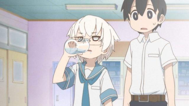 这部一月新番有点意外，狗粮也可以这么撒，和辉夜大小姐反着来