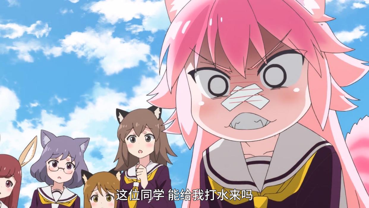 五一小长假，补这几部番剧就足够了