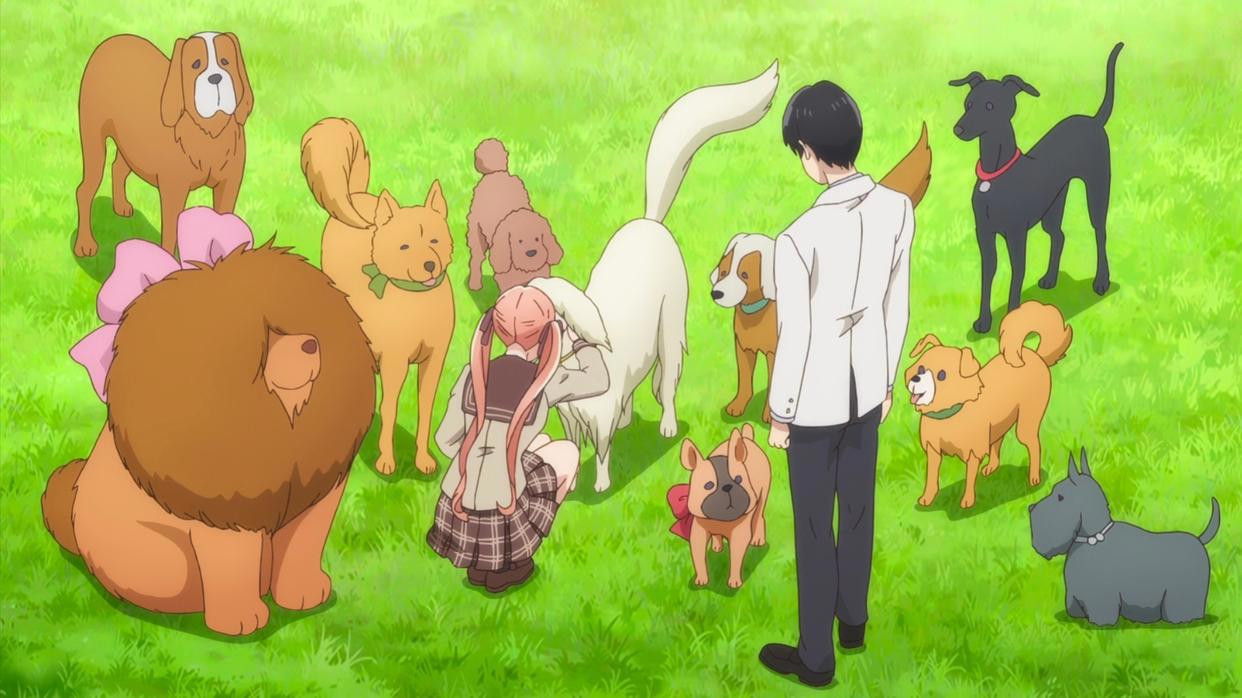 杜鹃的婚约：男主自作多情，以为女主想嫁给自己