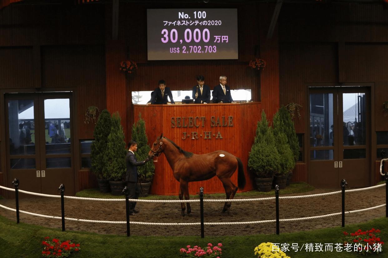 CyberAgent总裁连买12匹赛马，用《赛马娘》成绩回馈赛马界