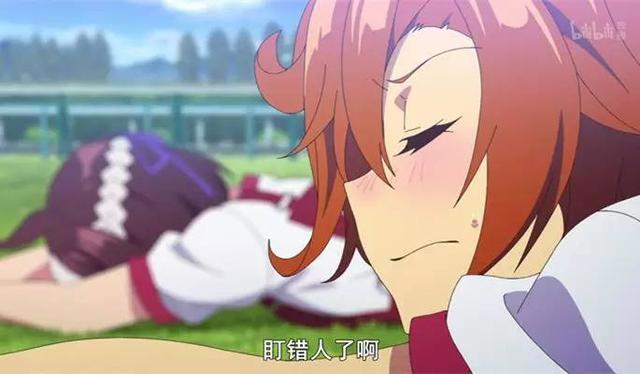 人人都是马学家，从《赛马娘》中学习趣味赛马科普吧