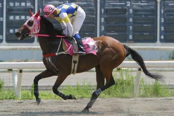 《赛马娘》手游爆火：跳票三年终“亮剑”传承日本赛马文化