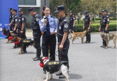 头一回！警犬退役全网直播，网友纷纷刷屏：警汪，退休愉快