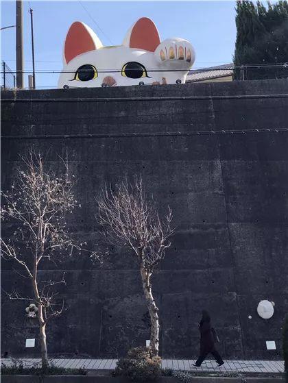 我在日本买口罩，亲历从有到无的关键两周