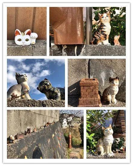 我在日本买口罩，亲历从有到无的关键两周