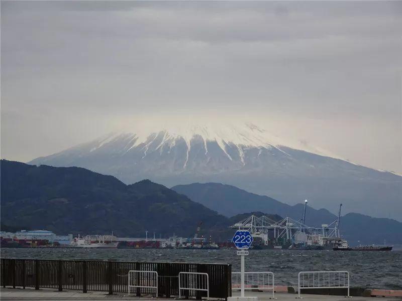 我在日本买口罩，亲历从有到无的关键两周