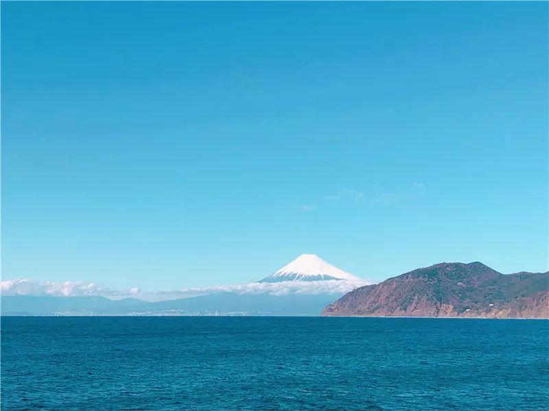 我在日本买口罩，亲历从有到无的关键两周