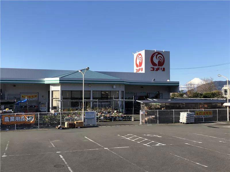 我在日本买口罩，亲历从有到无的关键两周