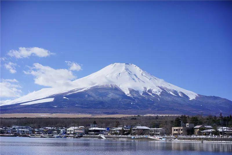 我在日本买口罩，亲历从有到无的关键两周