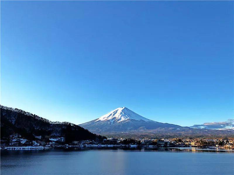 我在日本买口罩，亲历从有到无的关键两周