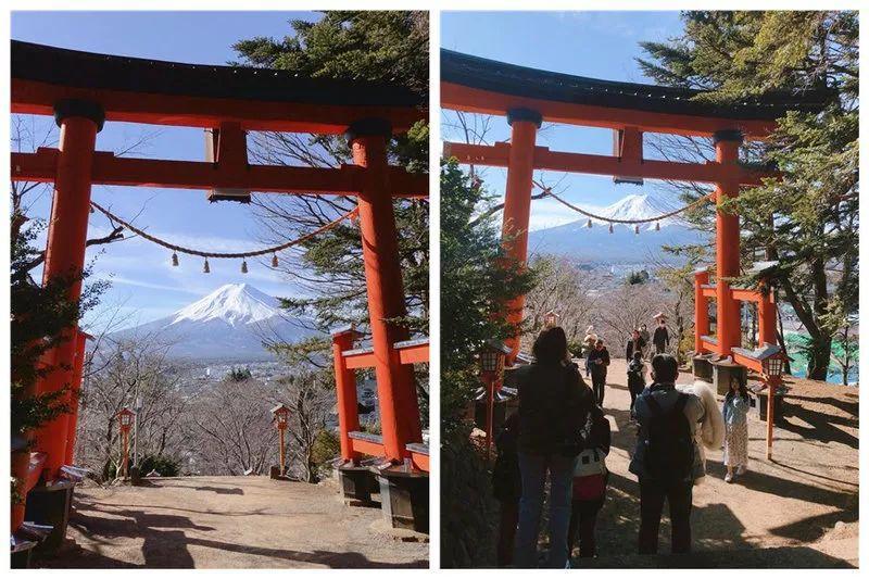 我在日本买口罩，亲历从有到无的关键两周