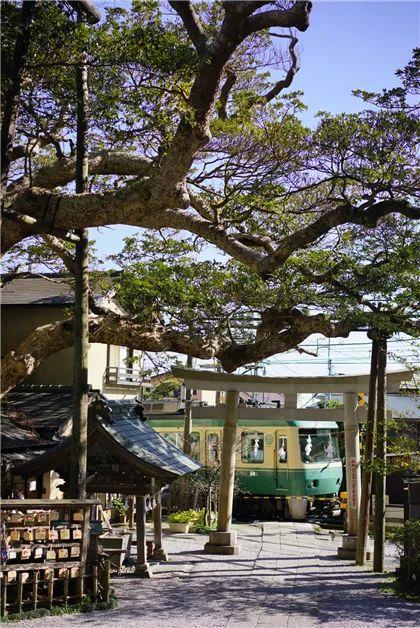 我在日本买口罩，亲历从有到无的关键两周