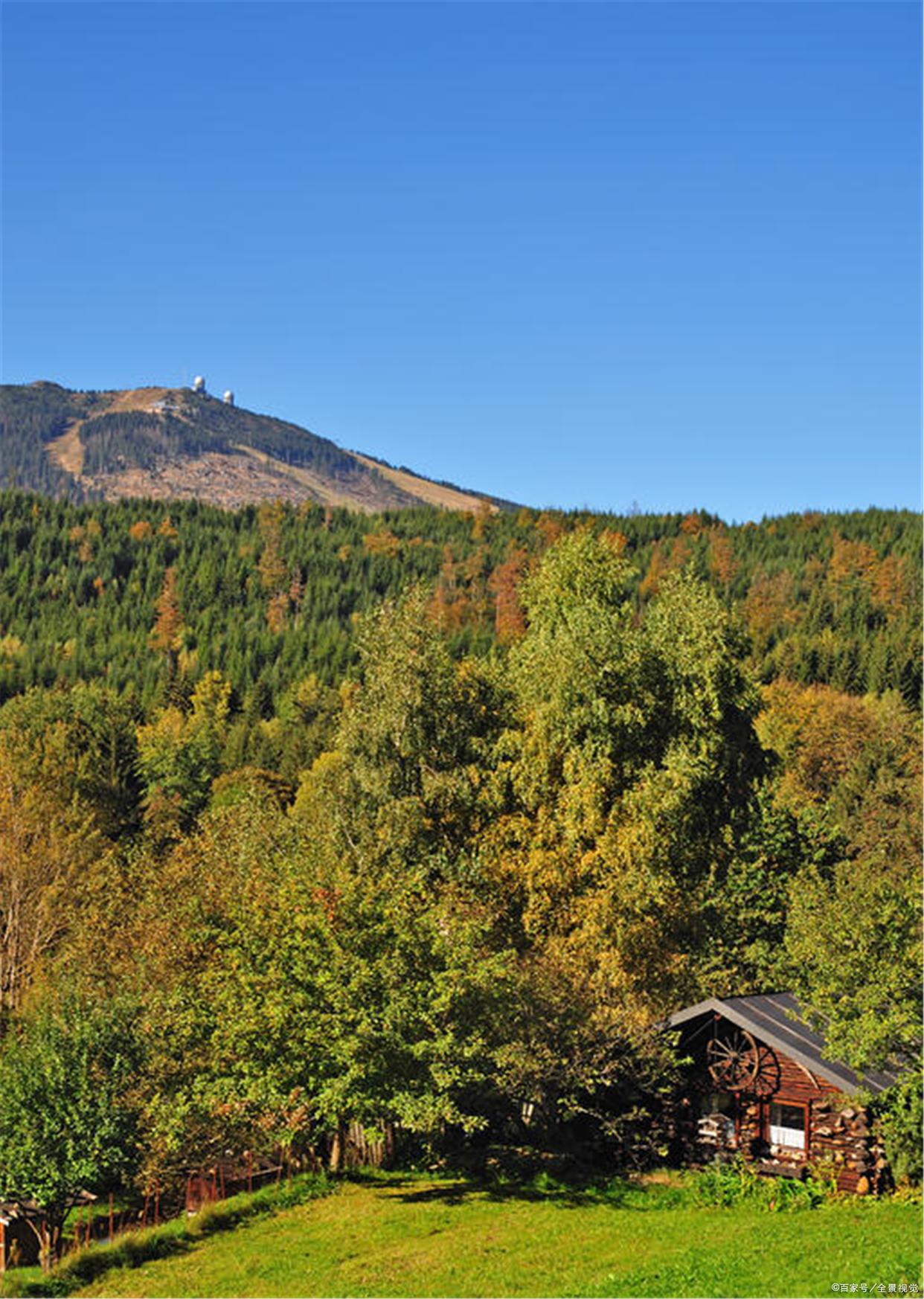 日本还有十六个世界第一