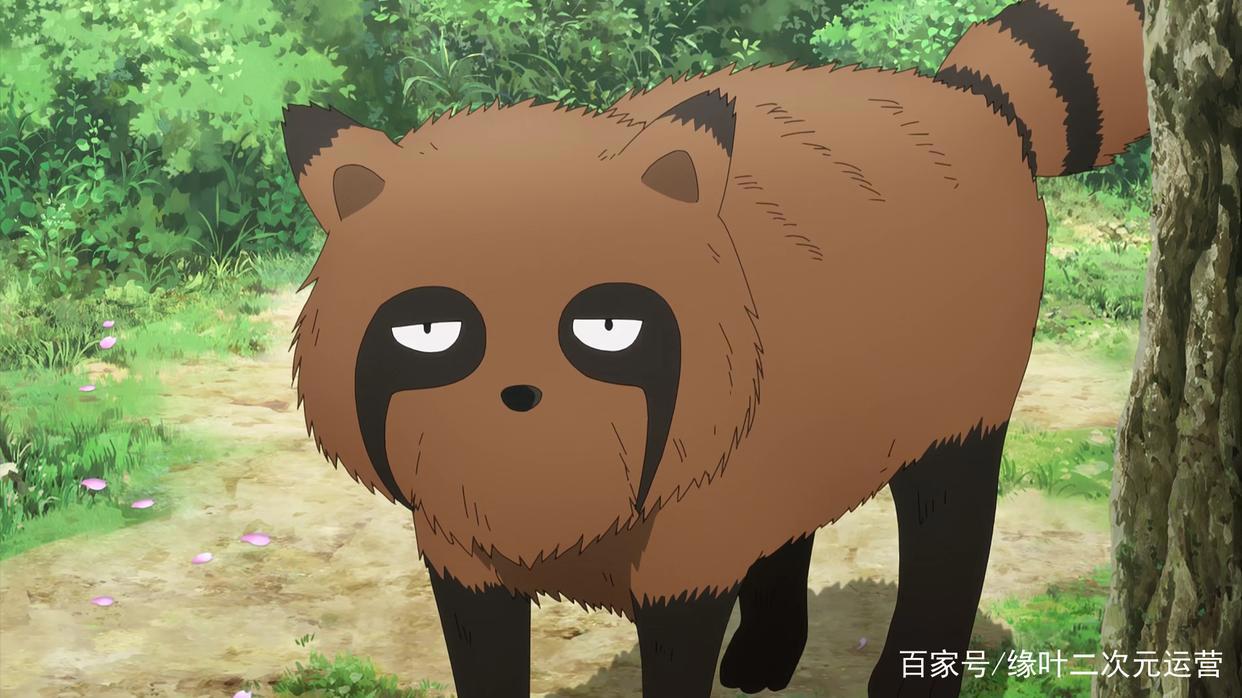 《女忍者椿的心事》国内人气少，但动画经费花得多，很心塞的新番