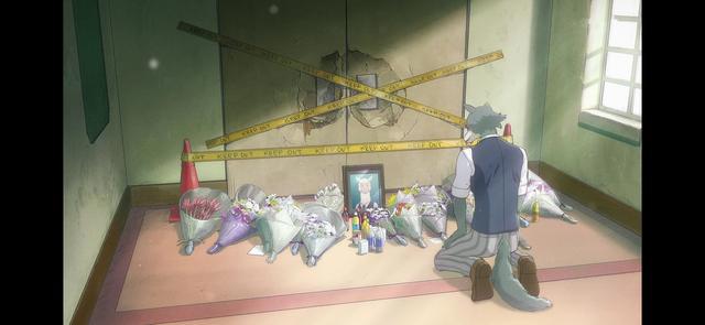 动物狂想曲：文明与野性的碰撞