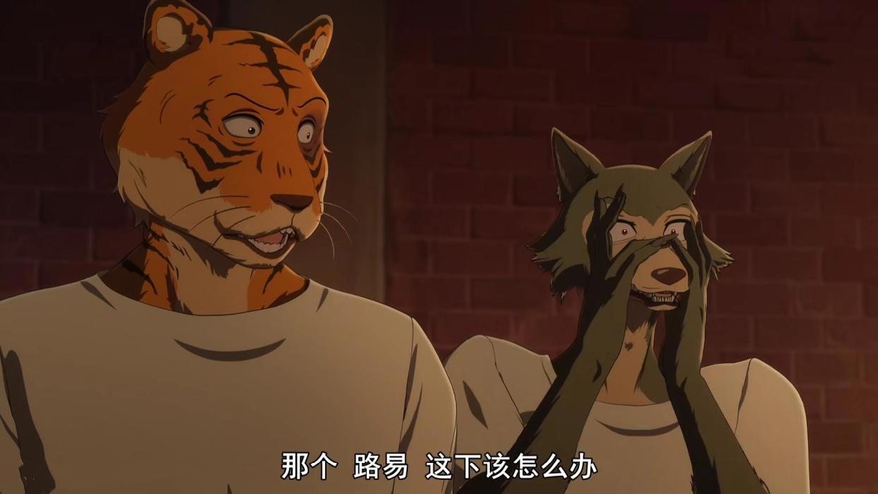 老虎和狼竟然被一头鹿训斥的灰头土脸，果然强者不一定就是强者