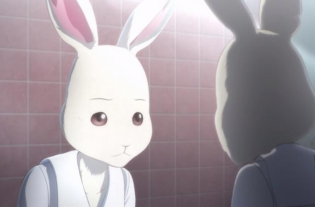 差0.2就满分！这部动物做主角的动漫，的确值得吹爆！