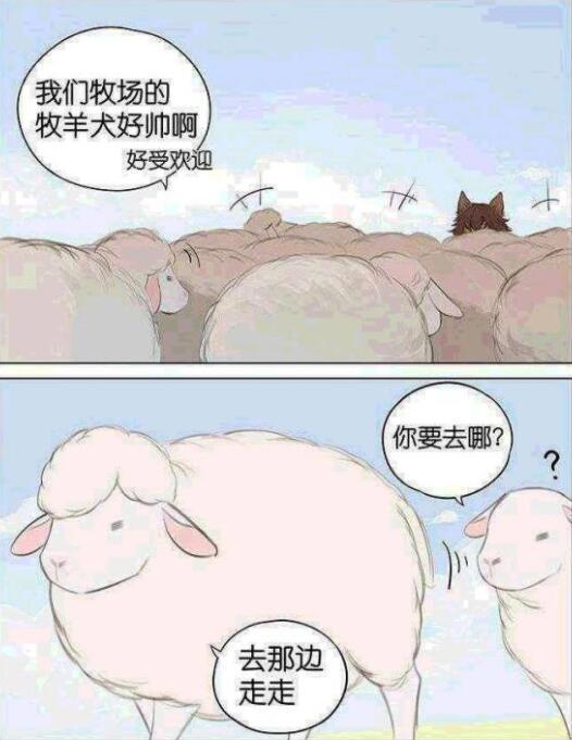 漫画：不吃羊的狼，与狗没有什么区别