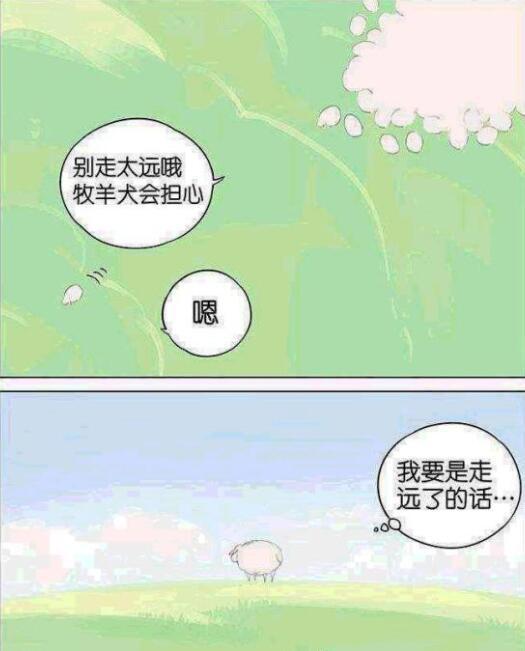 漫画：不吃羊的狼，与狗没有什么区别