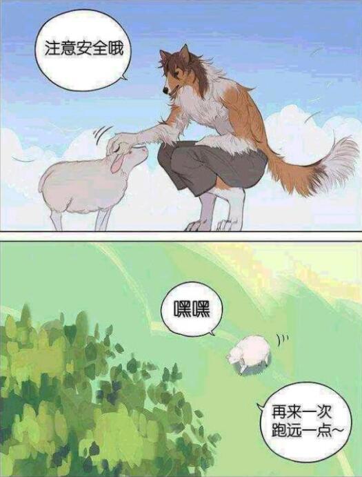 漫画：不吃羊的狼，与狗没有什么区别