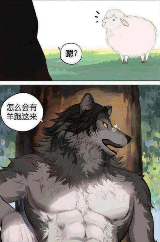 漫画：不吃羊的狼，与狗没有什么区别