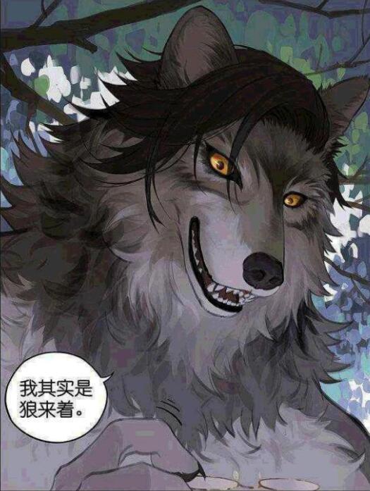 漫画：不吃羊的狼，与狗没有什么区别