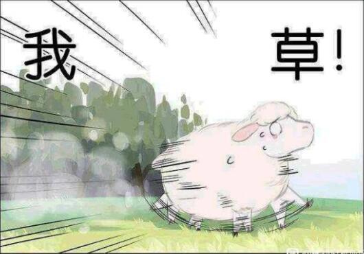 漫画：不吃羊的狼，与狗没有什么区别