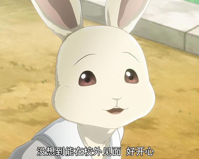 《动物狂想曲》兔婊女主？它们同为族群异类，只有强大的心才敢爱