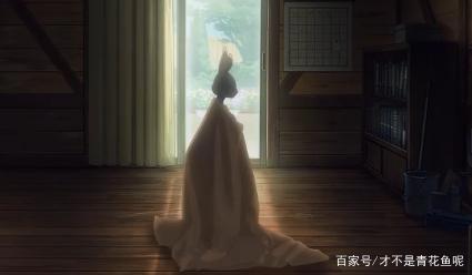 动物狂想曲——可爱的背后细思极恐