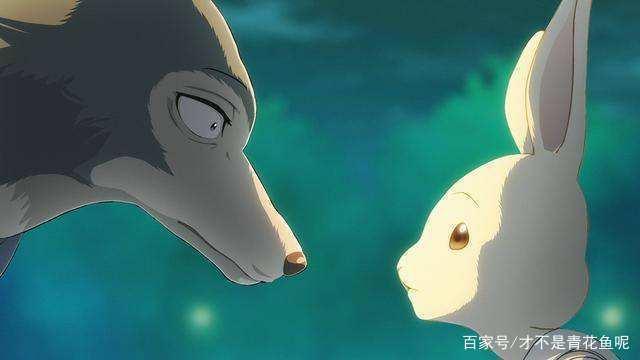 动物狂想曲——可爱的背后细思极恐