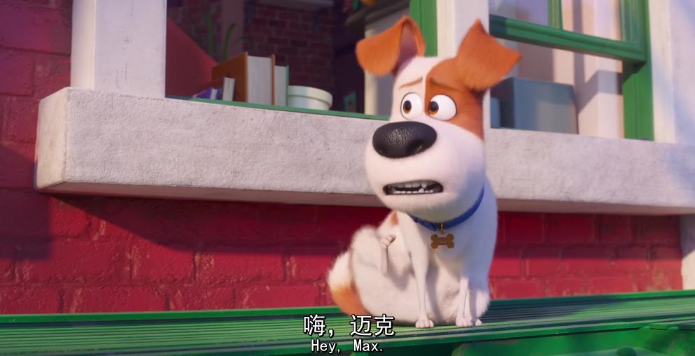 爱宠大机密2：麦克、博美、小雪球通过这3个故事进行励志，长姿势