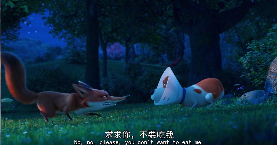 爱宠大机密2：麦克、博美、小雪球通过这3个故事进行励志，长姿势