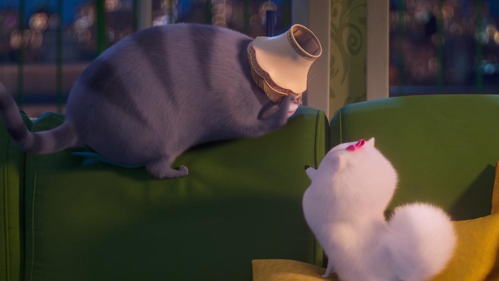 爱宠大机密2：麦克、博美、小雪球通过这3个故事进行励志，长姿势