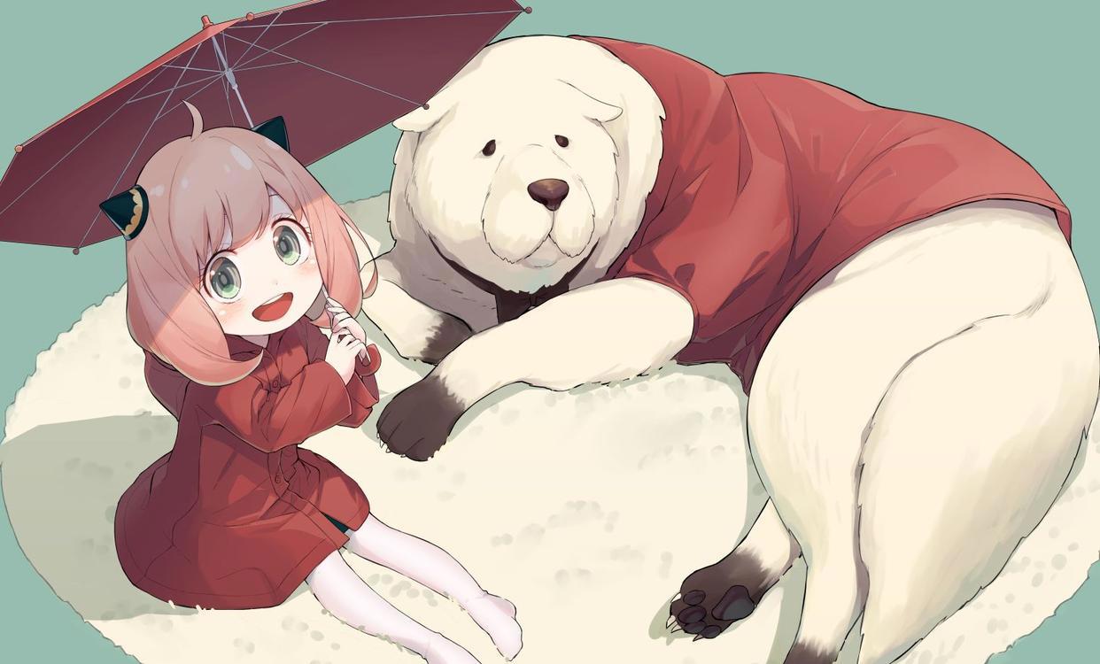 四月新番看点：盾勇约战辉夜大小姐，孔明社畜可不止可爱