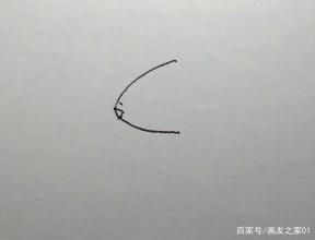 十二生肖简笔画：画老虎和兔子的步骤（干货，值得收藏哦）