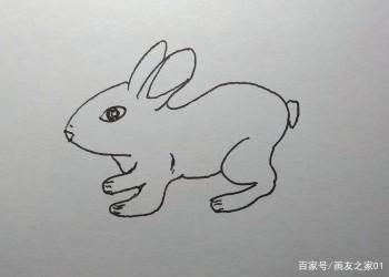 十二生肖简笔画：画老虎和兔子的步骤（干货，值得收藏哦）