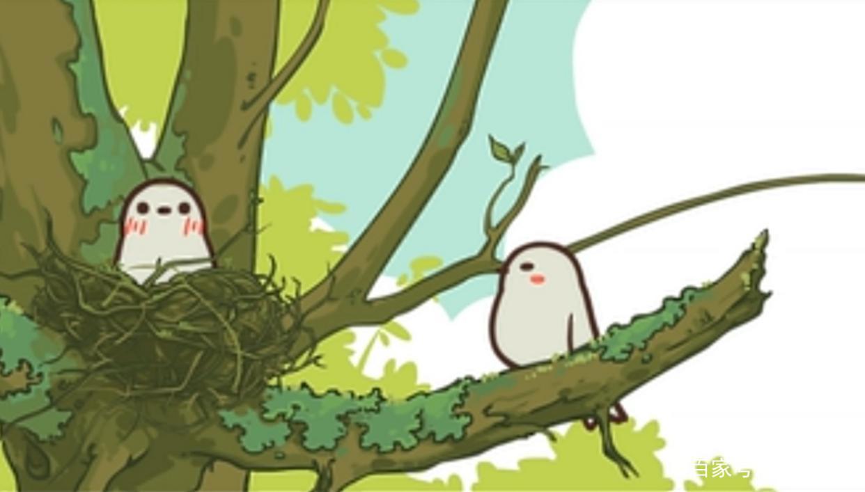 《罗小黑战记》两只鸟的爱情历程，相爱相杀到你侬我