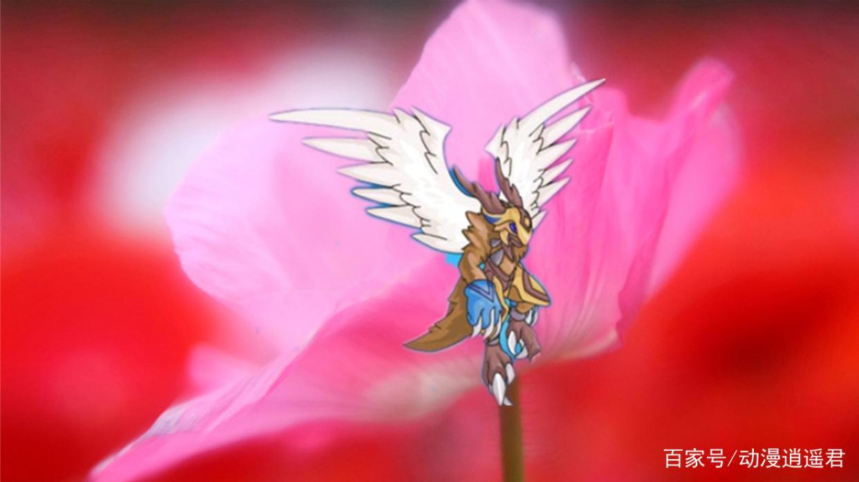 赛尔号：从笨拙小鸟进化成天使，曾经的天空霸主，而今的精灵王