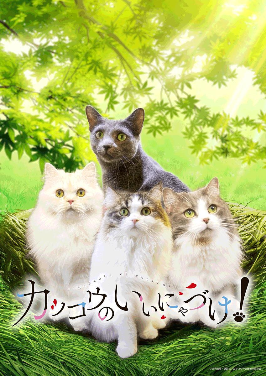 近期动漫情报汇总-官方下场最要命《被陌生女高中生监禁漫画家》