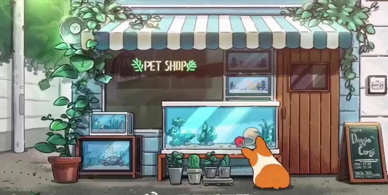 stean柯基小动漫，太治愈了！